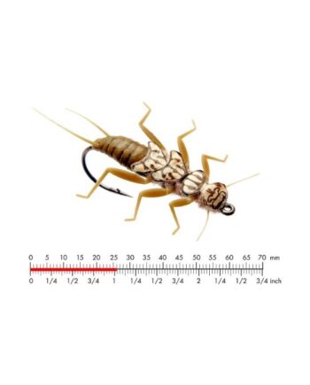 :on Stonefly Nymph   Olive Brown