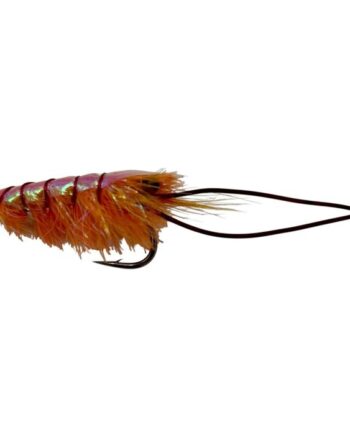 :on The Glimmer Shrimp Str