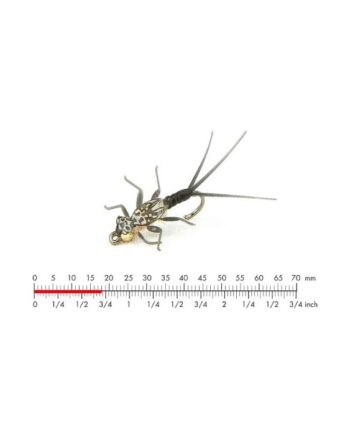 :on Tungsten Mayfly Nymph   Black  12