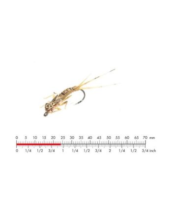 :on Tungsten Mayfly Nymph   Olive Brown