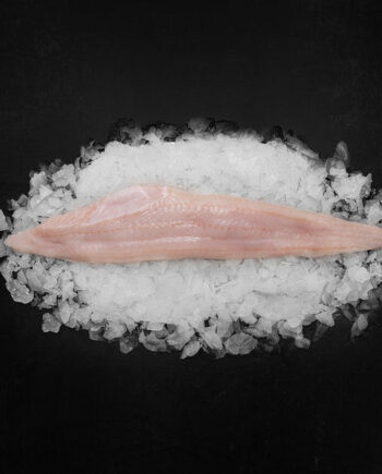 Linefanget Havkatfilet    Kg Tilbud