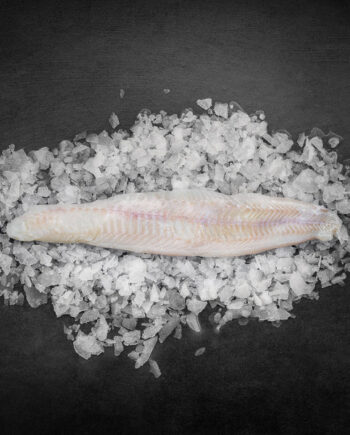 Nyhed: Blålangefilet