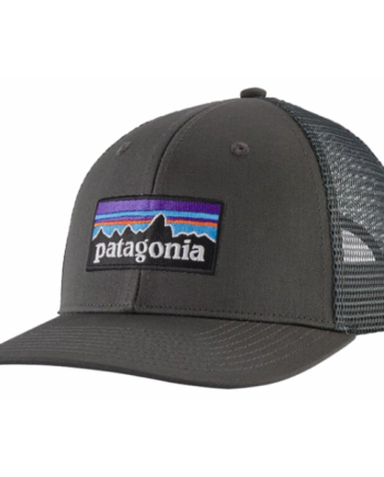 Patagonia  -  Logo Trucker Cap Forge Grey