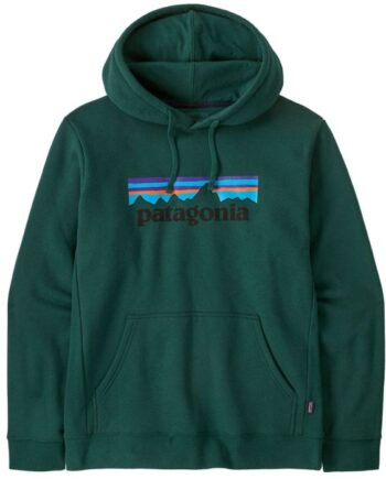 Patagonia  -  Logo Uprisal Hoody Cascade Green