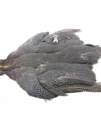 The Fly Co  Guinea Skin Natural