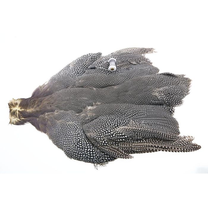 The Fly Co Guinea Skin Natural