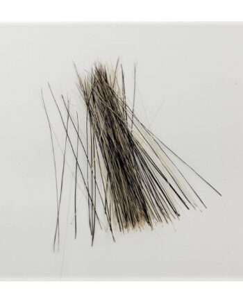 Veniard Boar Bristles Natural