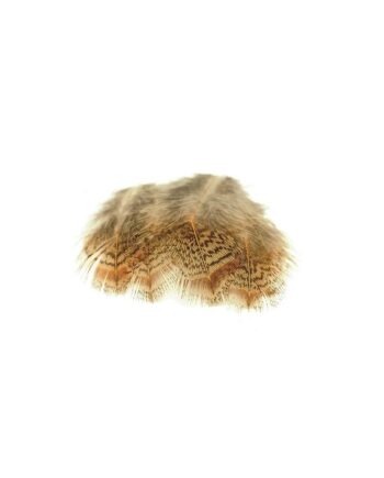 Veniard English Partridge Brown Back