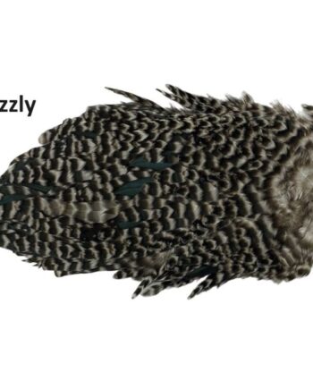 Whiting American Hen Saddle