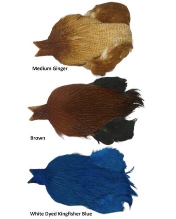 Whiting       Rooster Cape