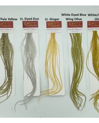 Whiting 100 Pk