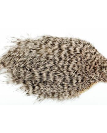 Whiting Spey Hackle Hen Cape