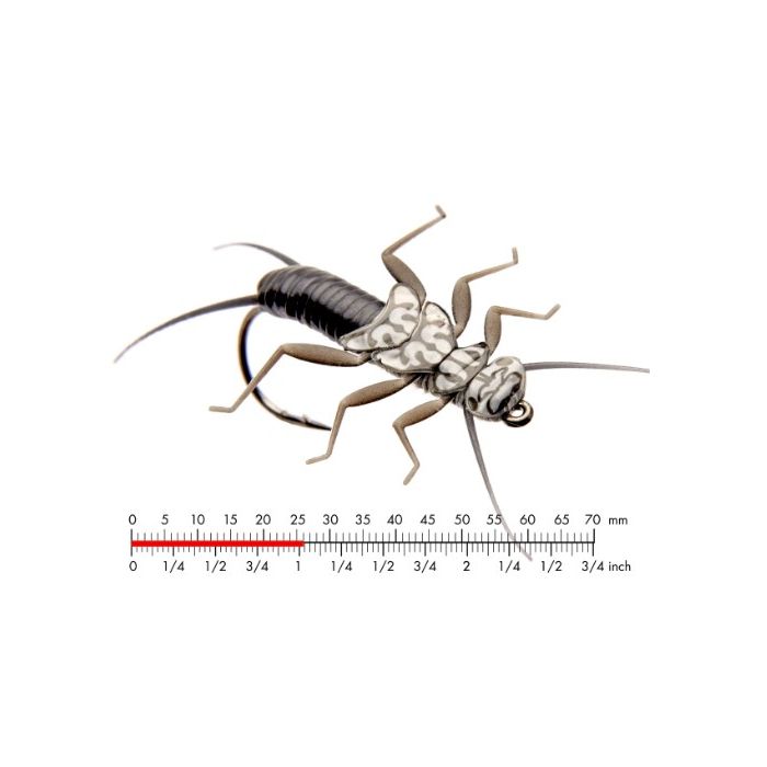 :on Stonefly Nymph Black