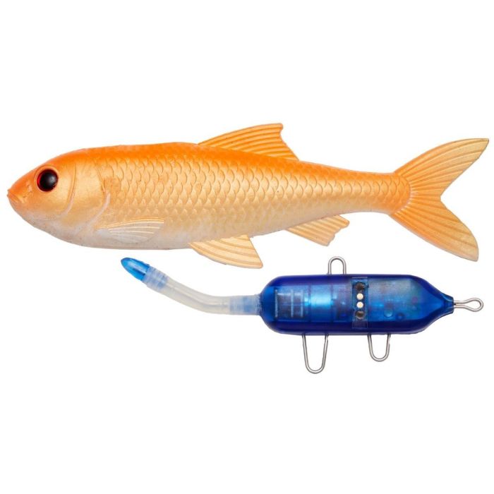 Pulz Bait Starter Kit Roach Skalle